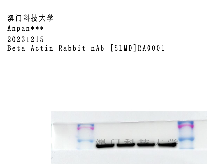 ra0001---1.jpg