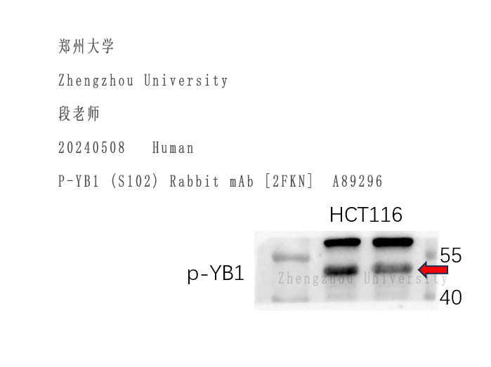 A89296.jpg